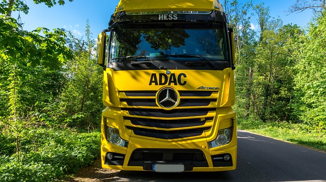 LKW Verschrottung